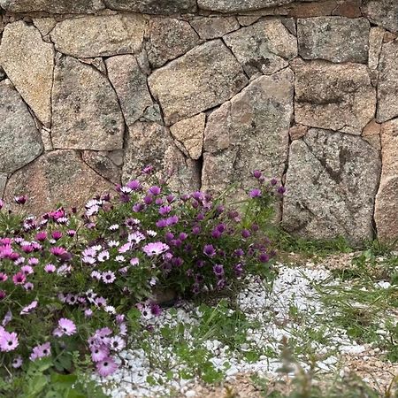 Appartamento I Pini Palau Eksteriør billede